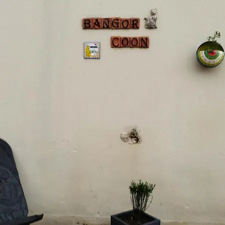 Le Bangorcoon Duplex Vero Forges (Seine-et-Marne)