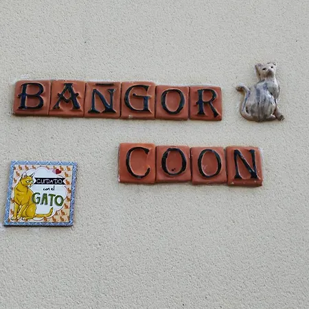 Le Bangorcoon Duplex Vero Forges (Seine-et-Marne)