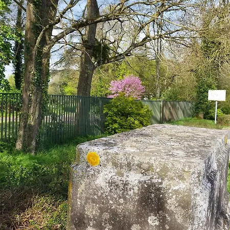 Le Bangorcoon Duplex Véro Forges (Seine-et-Marne)