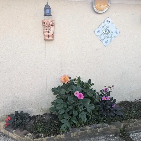Lejlighed Le Bangorcoon Duplex Vero *