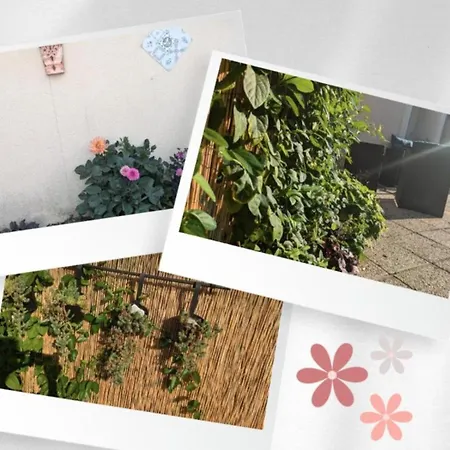 Lejlighed Le Bangorcoon Duplex Vero